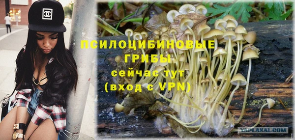 spice Армянск